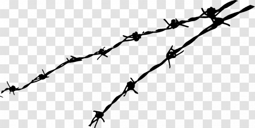 Barbed Wire Clip Art - Tape - Fence Transparent PNG