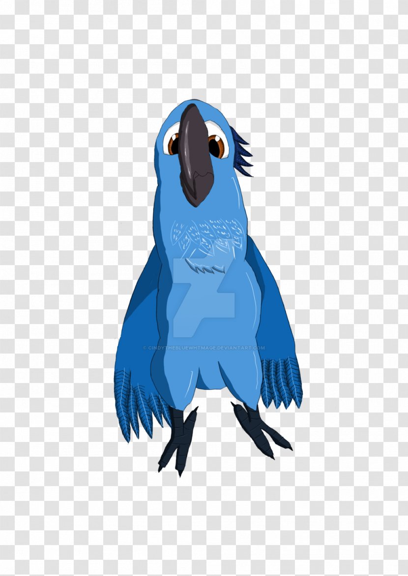 Jewel Blu Nigel Macaw Parrot - Feather - Rio Transparent PNG