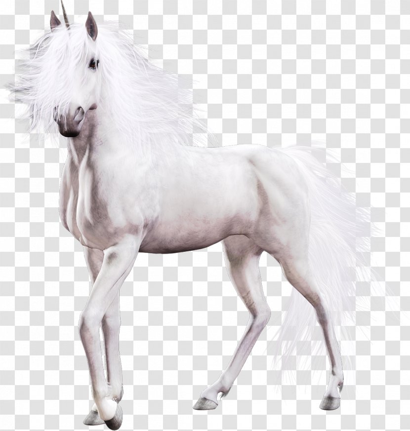 Unicorn Pony Mustang Clip Art - Mane Transparent PNG