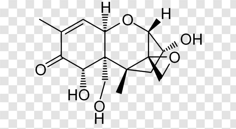 Vomitoxin Trichothecene Mycotoxin Fusarium Fumonisin - Black And White Transparent PNG