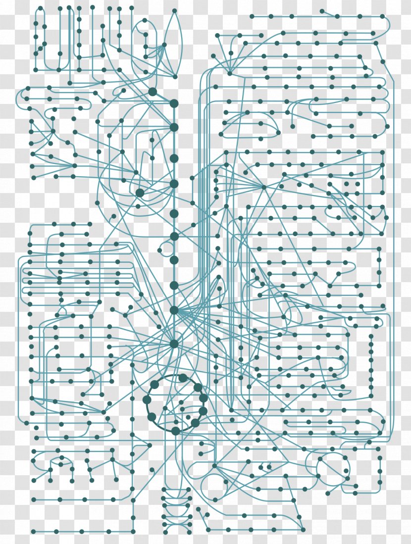 Metabolism Metabolome Cell Metabolic Network Biochemistry - Plant Physiology Transparent PNG