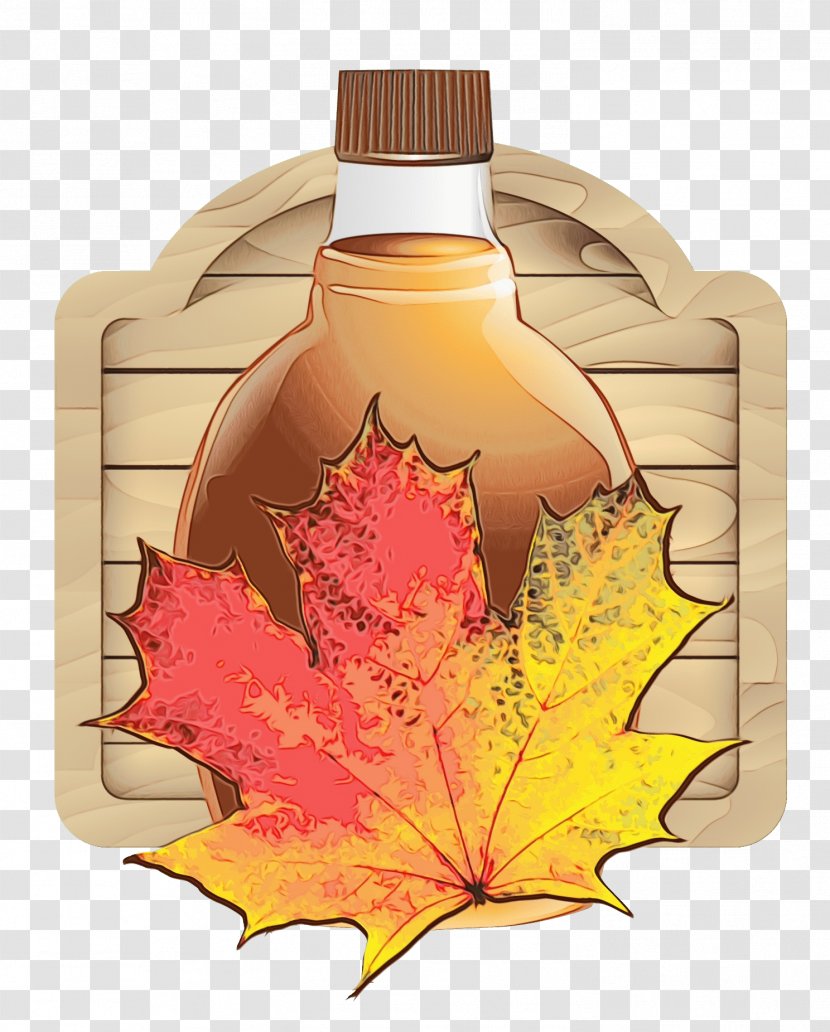 Family Tree Background - Bottle - Soapberry Syrup Transparent PNG