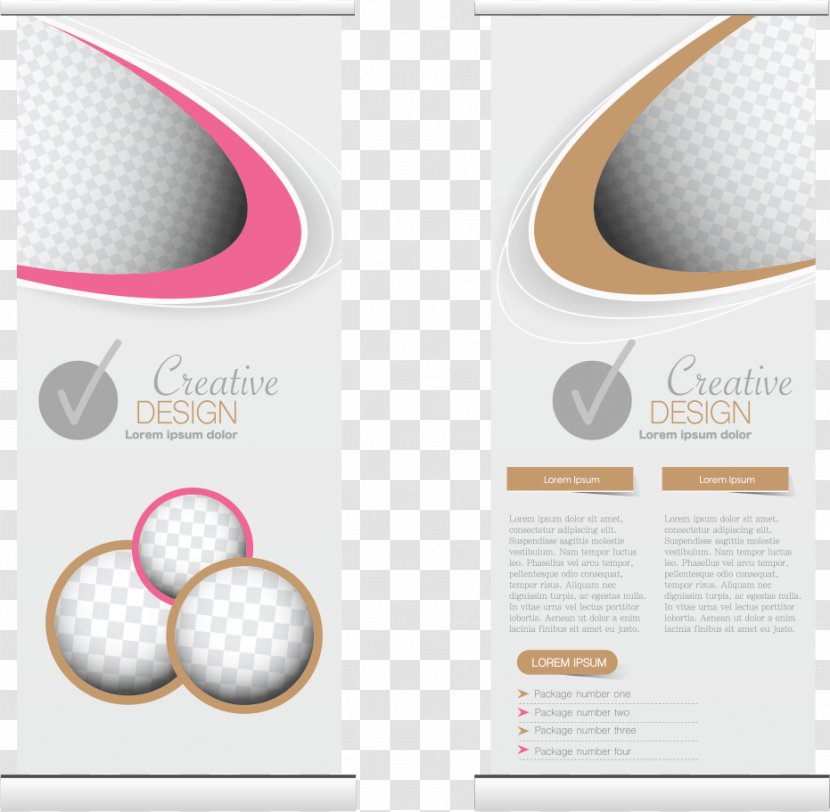 Curve Circle - Brochure - Vector Color Chin Transparent PNG