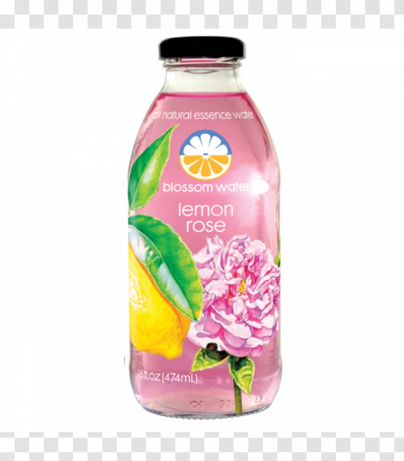 Juice Fizzy Drinks Enhanced Water Tea Flavor - Liquid Transparent PNG