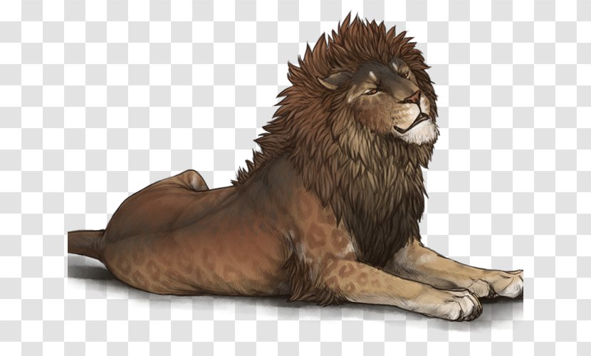 Lion Hyena Cheetah Cat Zodiac - Mammal - Sunset Transparent PNG