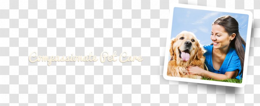 Central Florida Animal Hospital Dog Puppy Veterinarian Clinique Vétérinaire - Neutering Transparent PNG