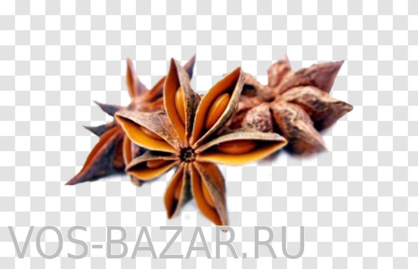 Organic Food Indian Cuisine Anise Spice - Chili Pepper - Oil Transparent PNG