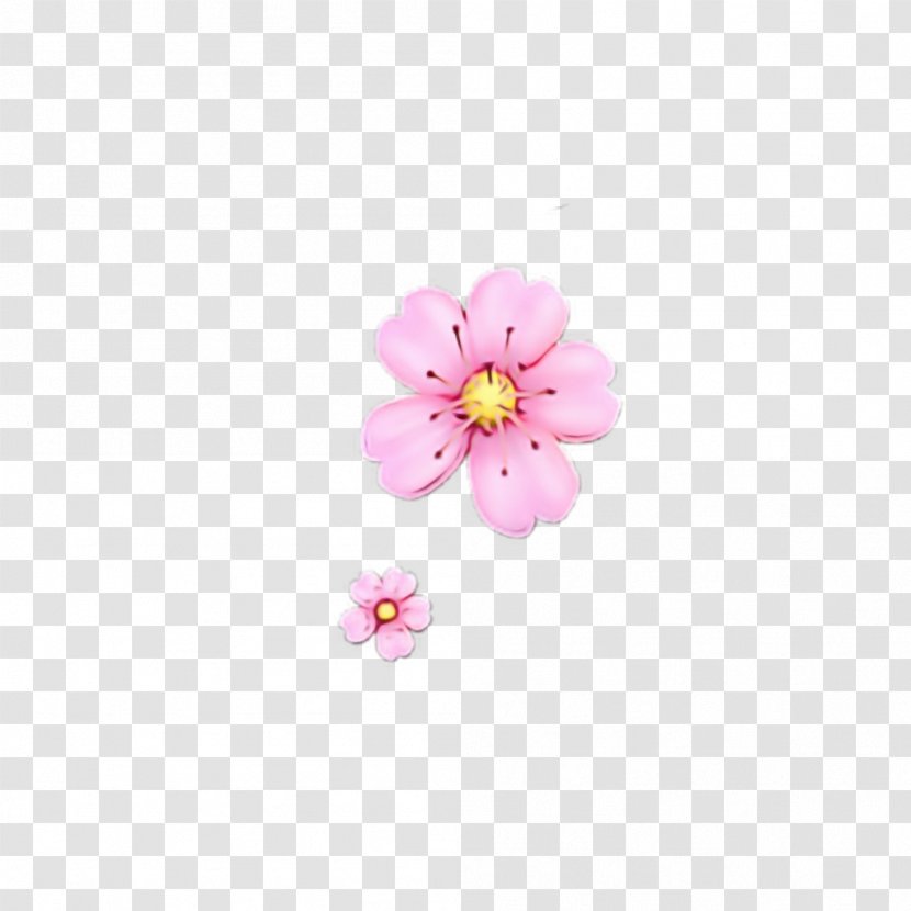 Cherry Blossom Background - Pink - Wildflower Plant Transparent PNG