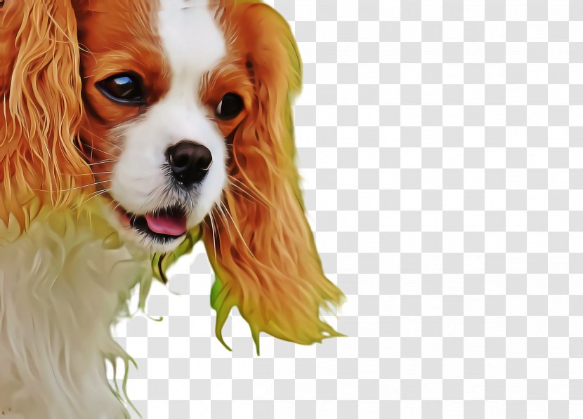 Cute Dog - Rare Breed - Puppy Love Toy Transparent PNG