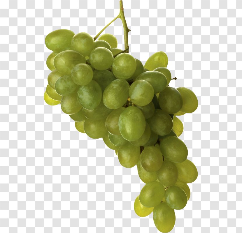 Common Grape Vine Wine Transparent PNG