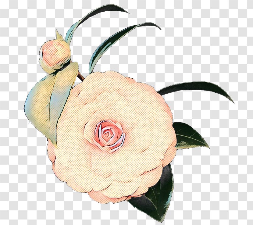 Pink Flower Cartoon - Rose Family - Theaceae Plant Stem Transparent PNG