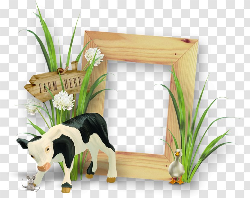Cattle Picture Frames Image - Dog Summer Frame Calming Transparent PNG