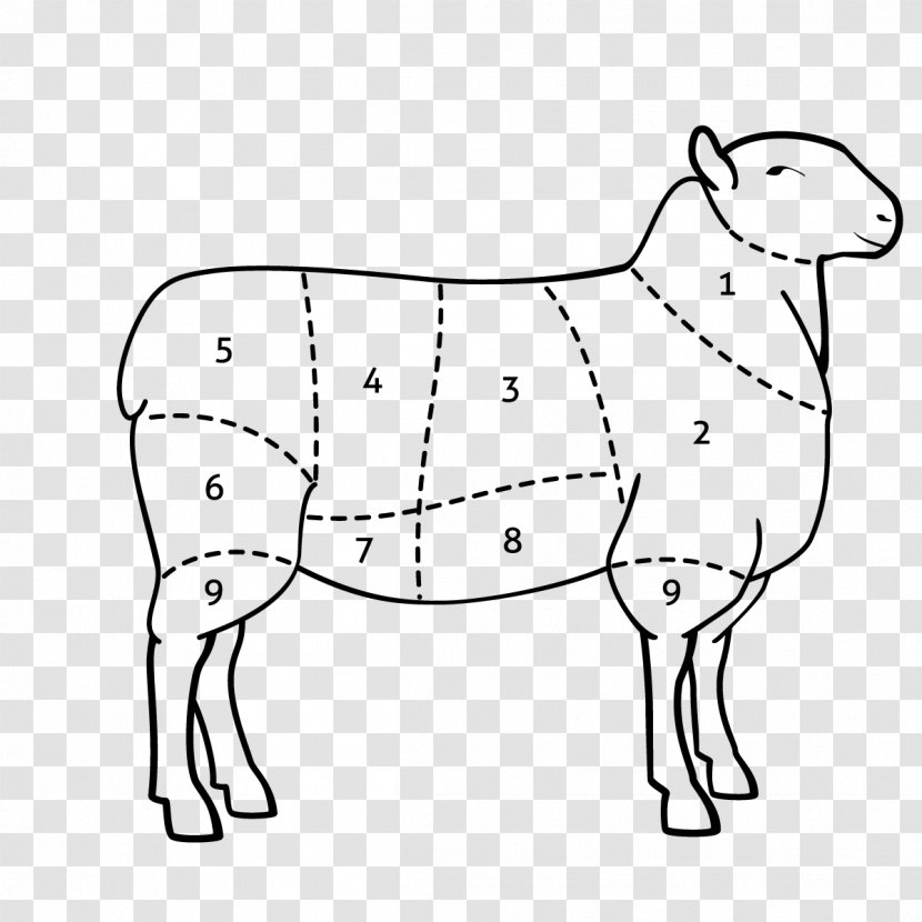 Sheep Cattle Lamb And Mutton Mustang Bear - Animal Figure Transparent PNG