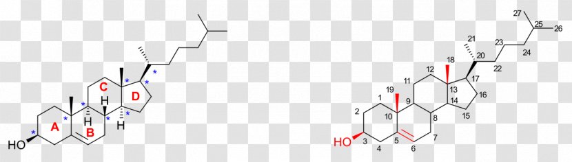 Cholesterol Total Synthesis Stereocenter Alcohol Cortisone - Triterpene Transparent PNG