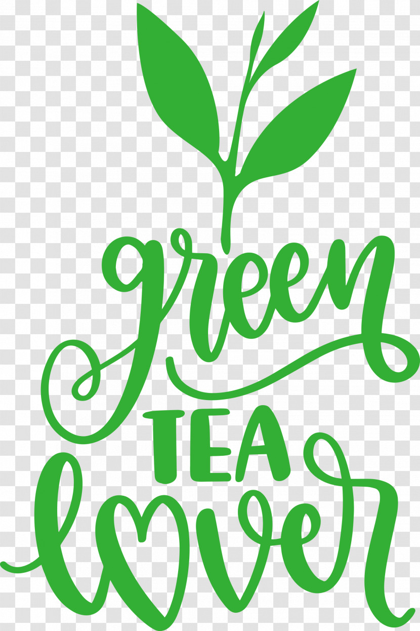 Green Tea Lover Tea Transparent PNG