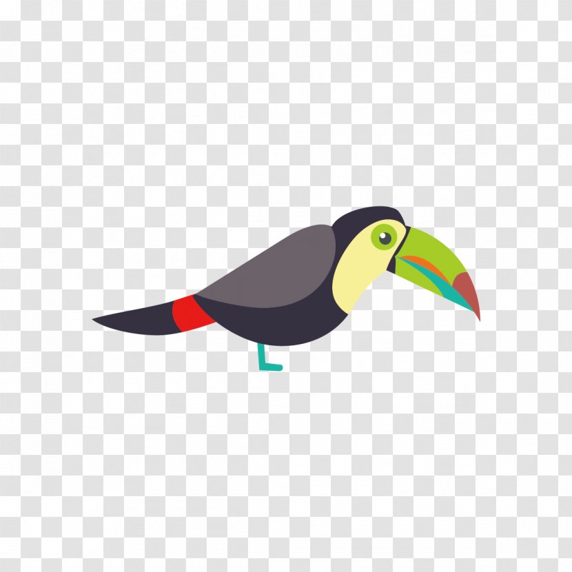 Parrot Bird Toucan Euclidean Vector - Multicolored Transparent PNG