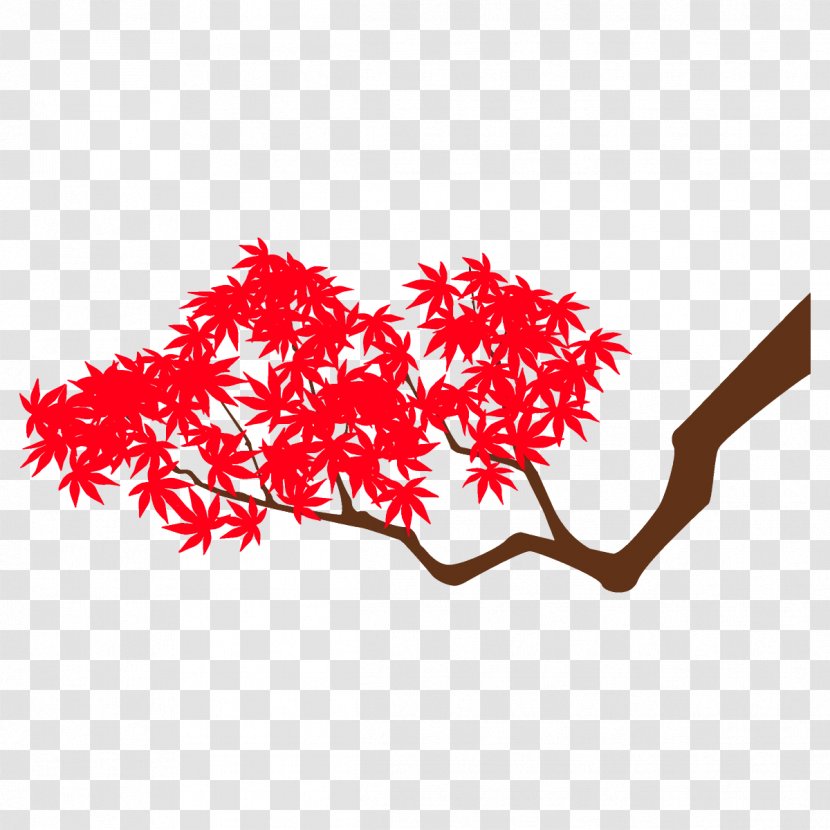 Maple Branch Leaves Autumn Tree - Twig Transparent PNG
