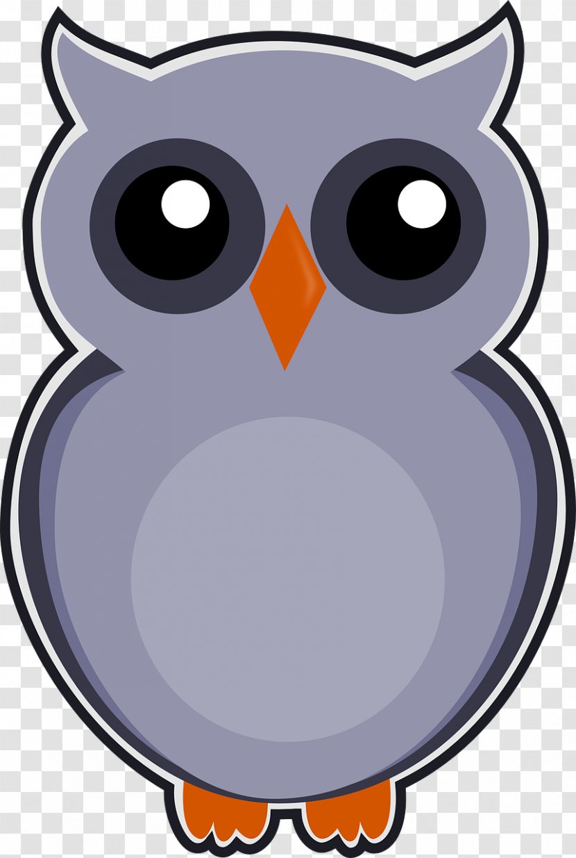 Bird Owl Cartoon Clip Art Transparent PNG