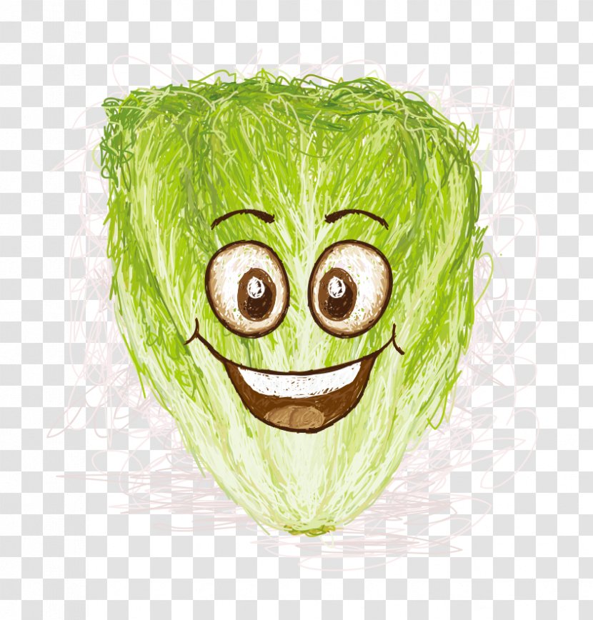 Lettuce Smile Cartoon Illustration - Green - Jun Cabbage Transparent PNG