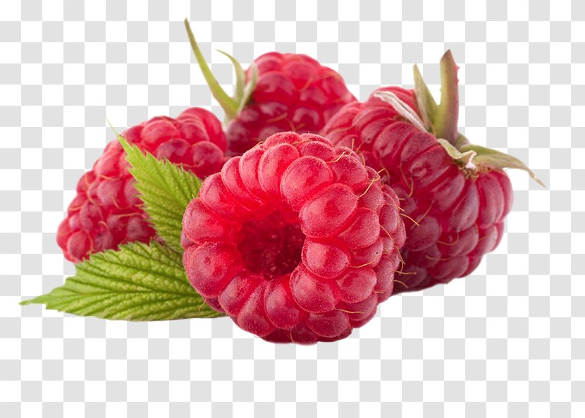Juice Raspberry Ketone Fruit - Cranberry Transparent PNG