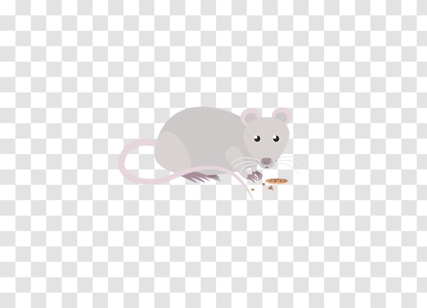 Rat Mouse Rodent Murids Mammal - & Transparent PNG