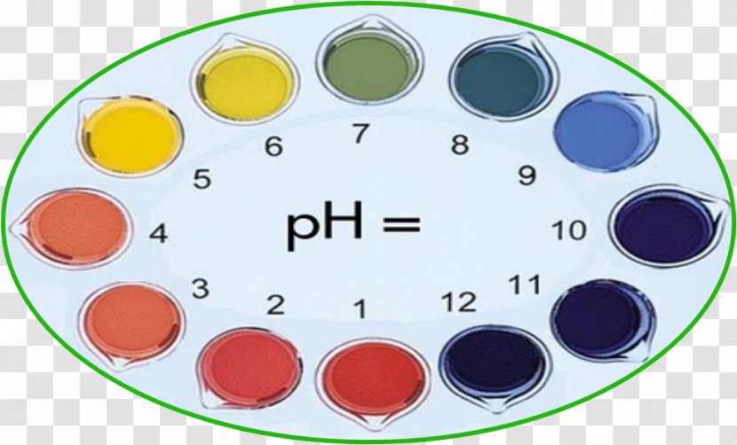 Indicador PH Color Universal Indicator Litmus - Base - Agua De Jamaica Transparent PNG