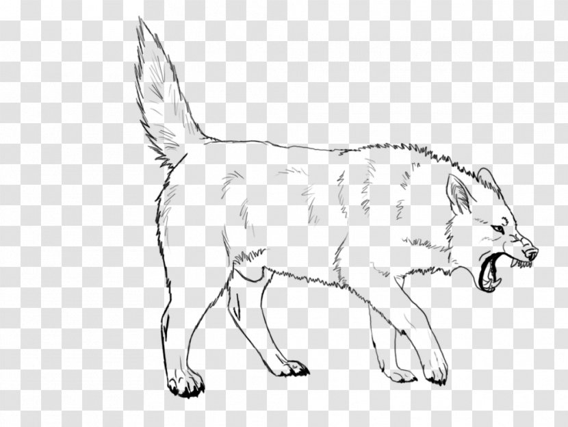 Dog Breed Wolf Walking Red Fox Line Art - Organism - Angry Face Transparent PNG