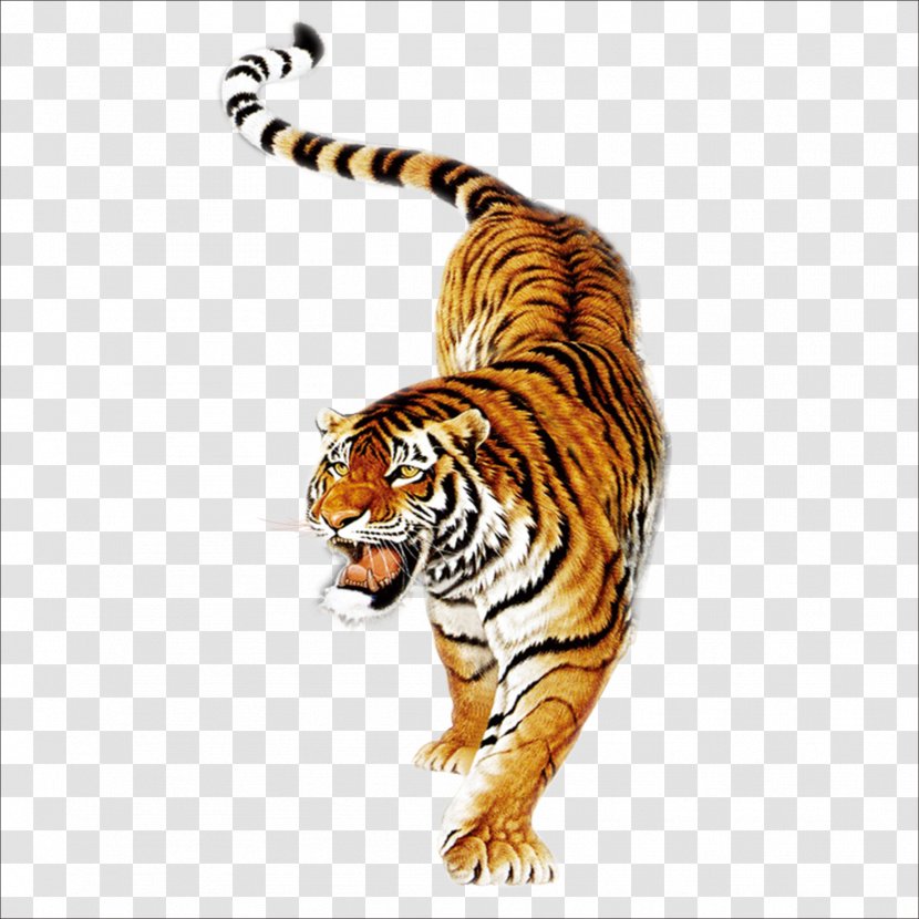 South China Tiger Balm Siberian Painting In Chinese Culture Transparent PNG