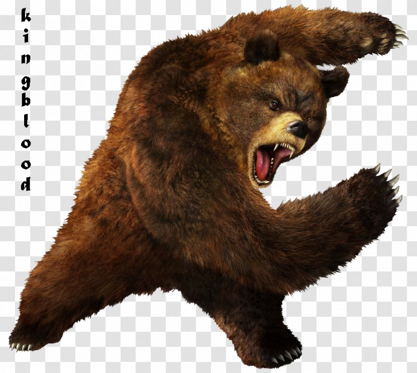 Tekken 5: Dark Resurrection 4 Tag Tournament 2 - Snout - Bear Transparent PNG