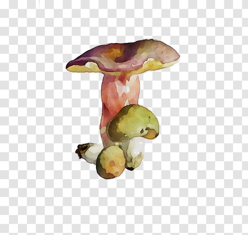 Mushroom Organism - Penny Bun - Russula Integra Transparent PNG