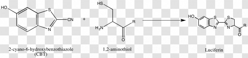 Amine Oxide Quinoxaline Derivative - Symmetry - Chemical Synthesis Transparent PNG