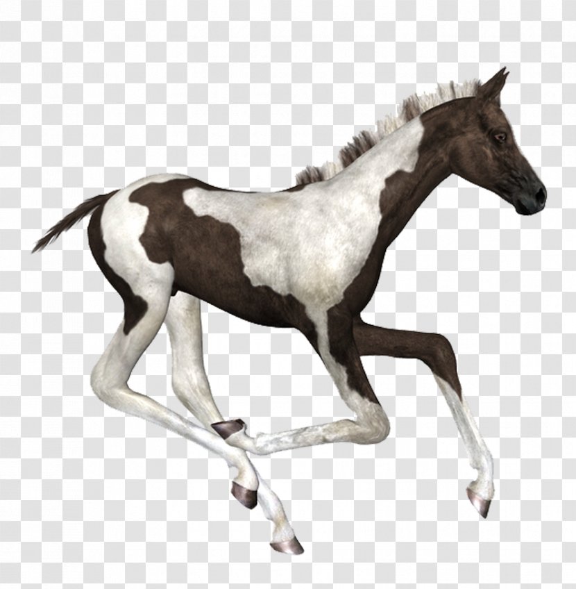 Horse Ink Brush - Hand-painted Transparent PNG