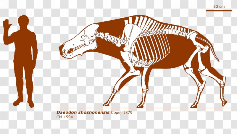 Daeodon ARK: Survival Evolved Dinosaur Even-toed Ungulates Short-faced Bears - Camelops Transparent PNG