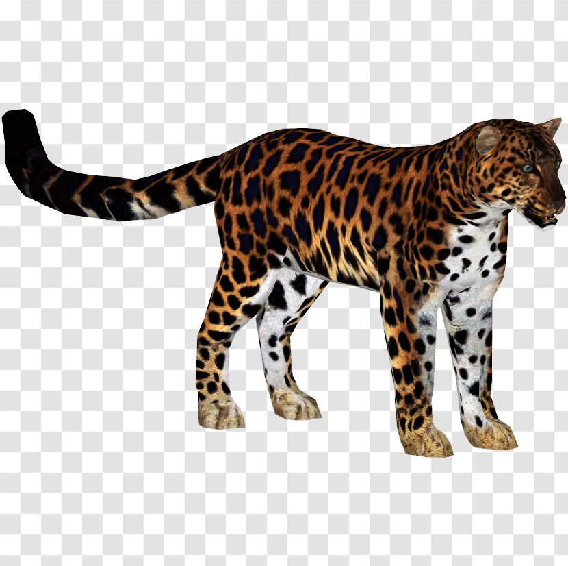 Zoo Tycoon 2 Jaguar Tiger Amur Leopard Felidae - Cheetah Transparent PNG