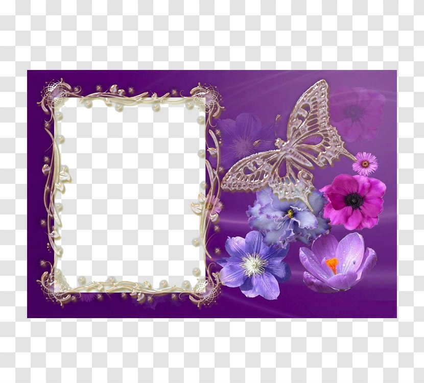 Bayram Eid Al-Adha Al-Fitr Sacrifice Salah - Lilac - Butterfly Frame Transparent PNG