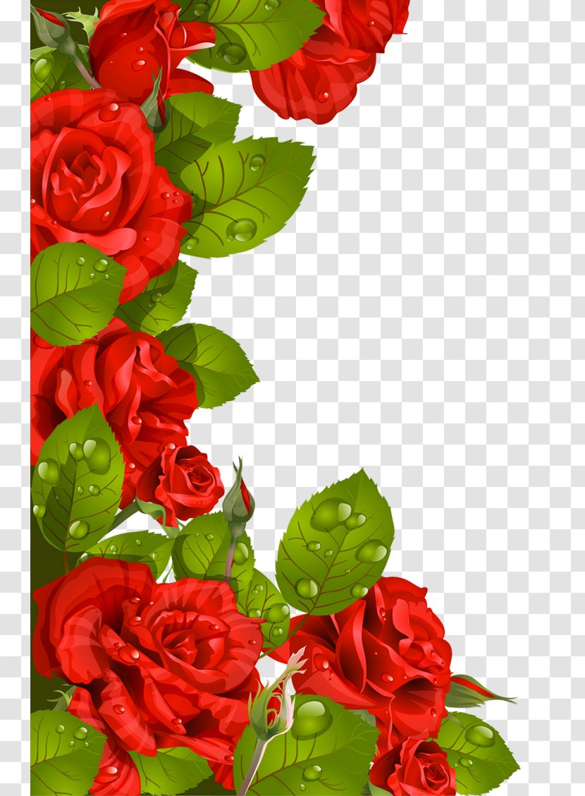 Valentines Day Rose Greeting Card Mothers Clip Art - Flower Arranging - Fresh Transparent PNG