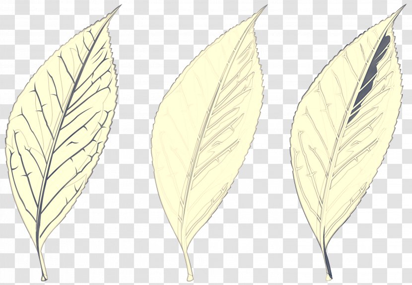Tree Cartoon - Anthurium - Flower Transparent PNG