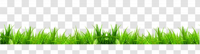 Green Download Weed Icon - Black - Fresh Grass Transparent PNG