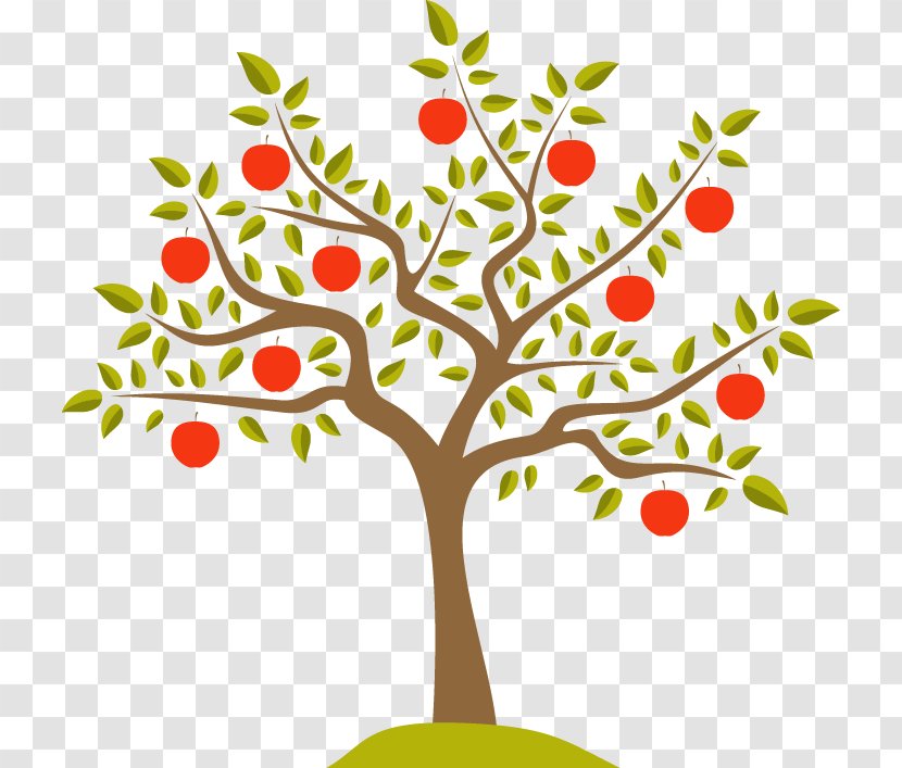 Vector Graphics Apple Illustration Drawing Fruit Tree - Flora Transparent PNG