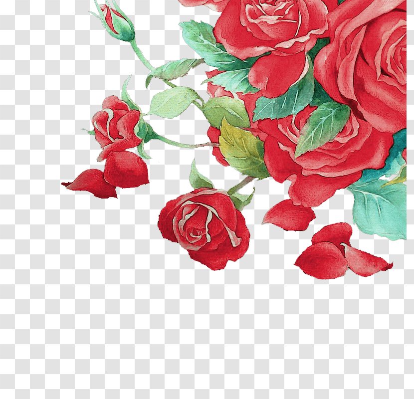 Garden Roses Floral Design Cut Flowers - Floribunda - Red Petal Flower Transparent PNG