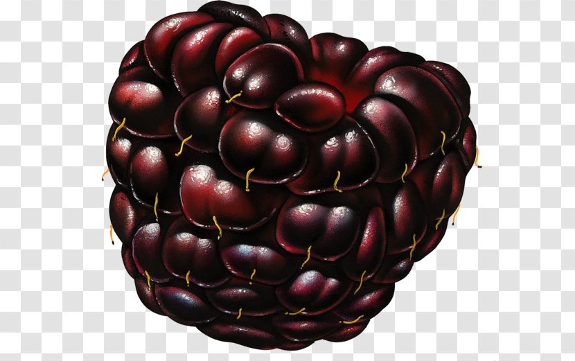 Juice Berries Fruit Blackberry - Berry Transparent PNG