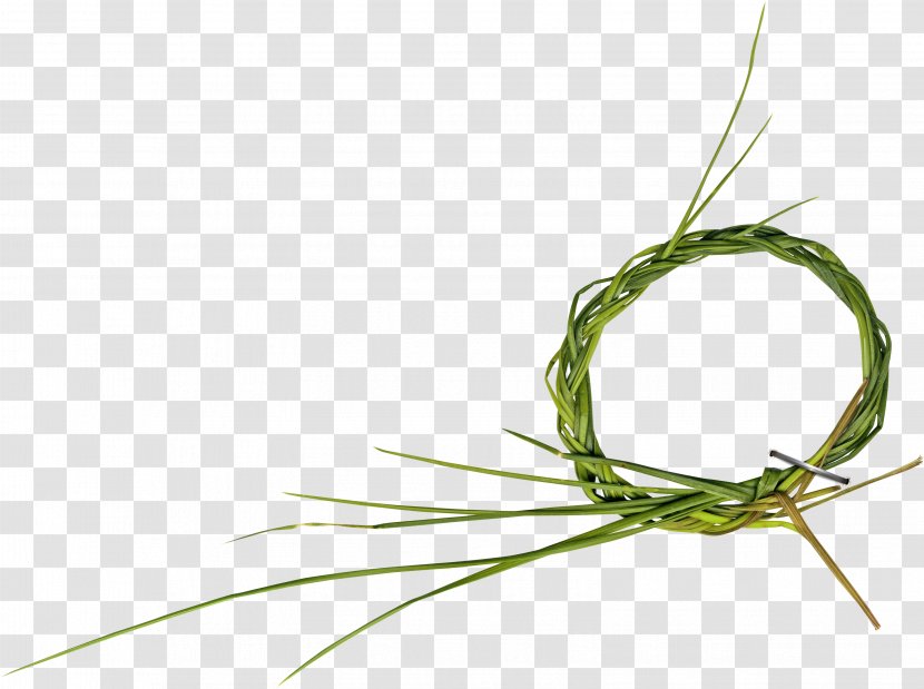 Green - Grass Ring Transparent PNG