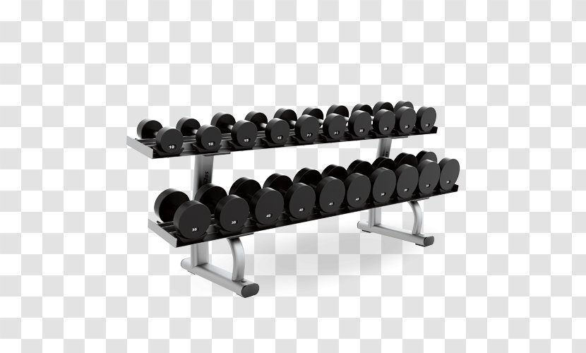 Dumbbell Weight Training Life Fitness Exercise Equipment Strength - Gym Transparent PNG