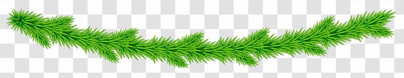 Grasses Plant Stem Line Font - Garland Transparent PNG