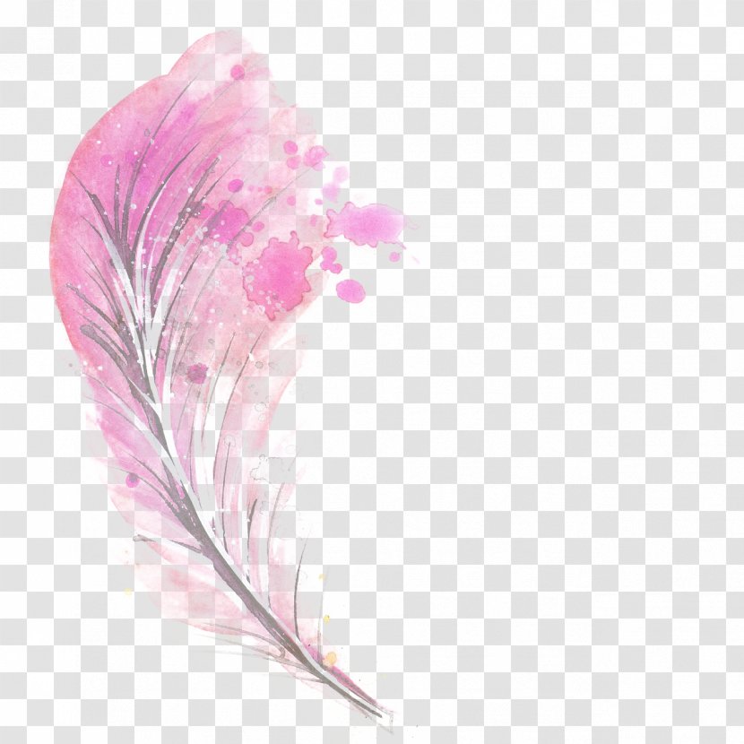 Feather Pink Illustration - Magenta Transparent PNG