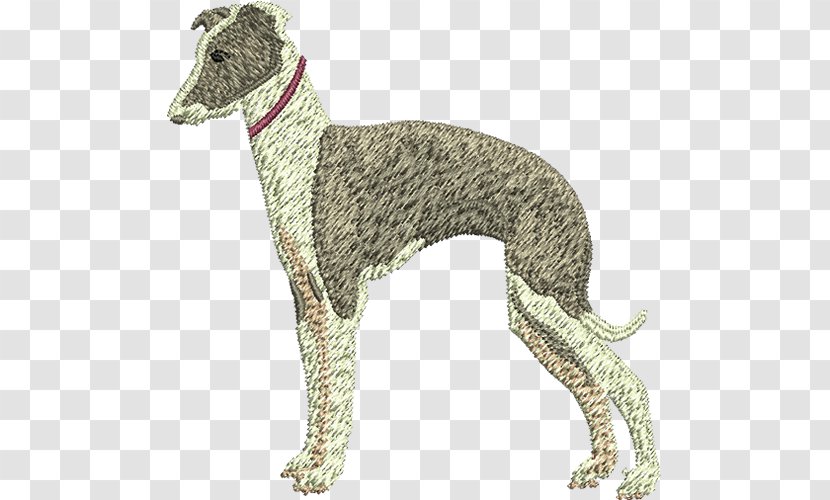 Spanish Greyhound Italian Whippet Sloughi - Polish Transparent PNG