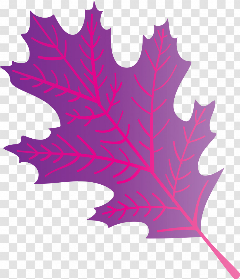 Autumn Leaf Colourful Foliage Colorful Leaves Transparent PNG