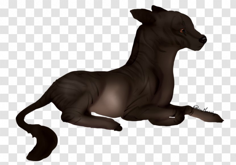 Dog Breed Italian Greyhound Cat - Like Mammal Transparent PNG