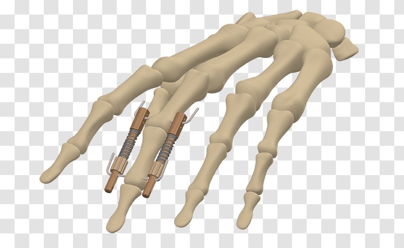 Finger - Skeleton - Design Transparent PNG