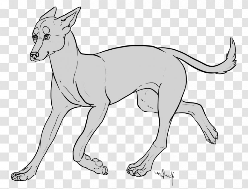 Dog Breed Macropodidae Line Art Paw Transparent PNG